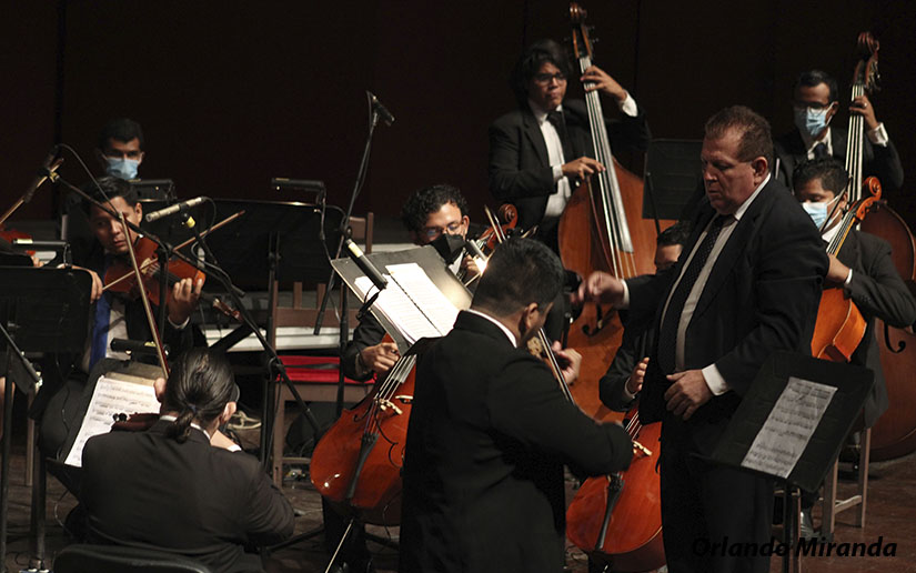 CAMERATA